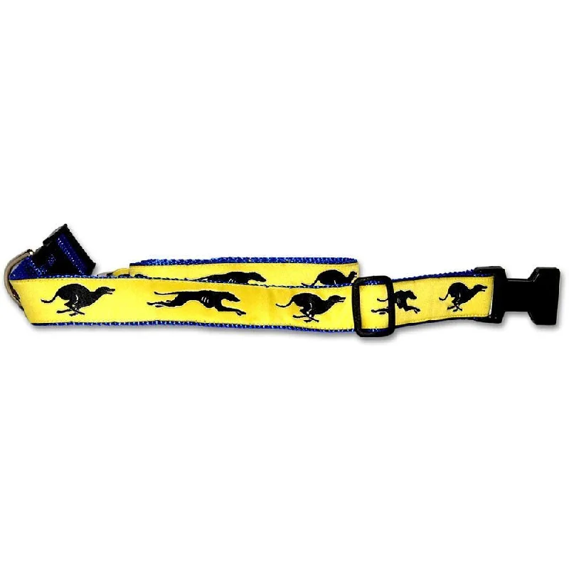 Yellow Collar and Lead Set