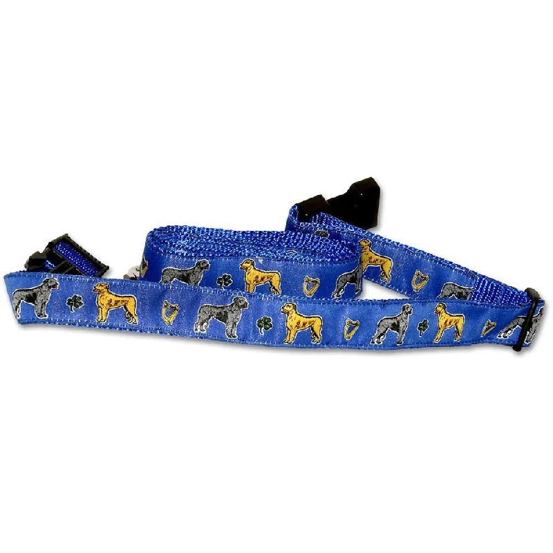 Blue Collar and Leash Set