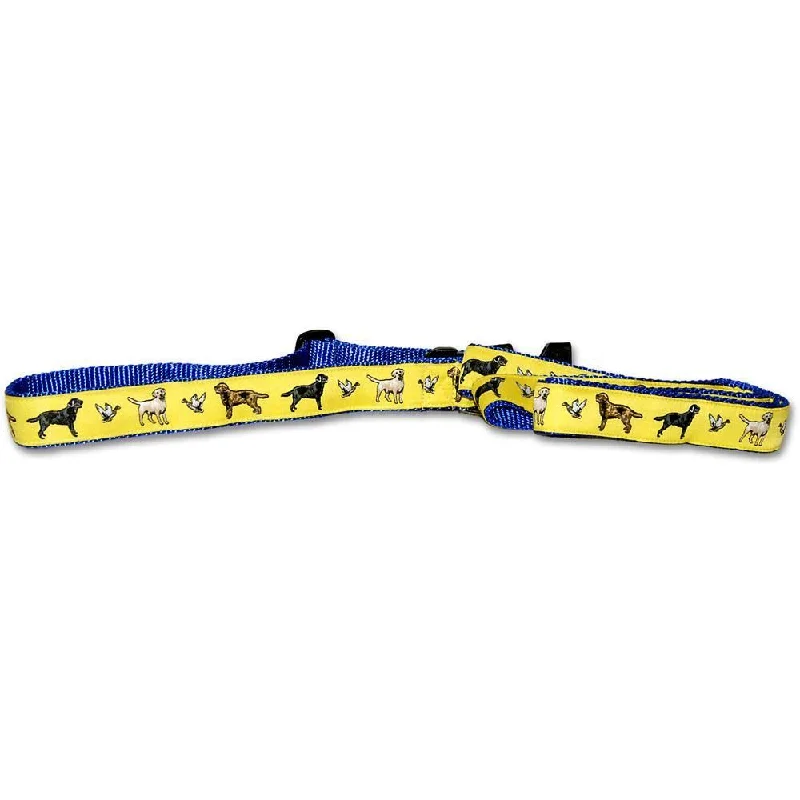 Yellow Collar and Lead Set