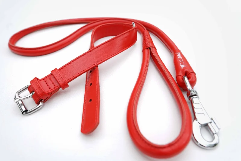 Red Dog Collar and Leash Set