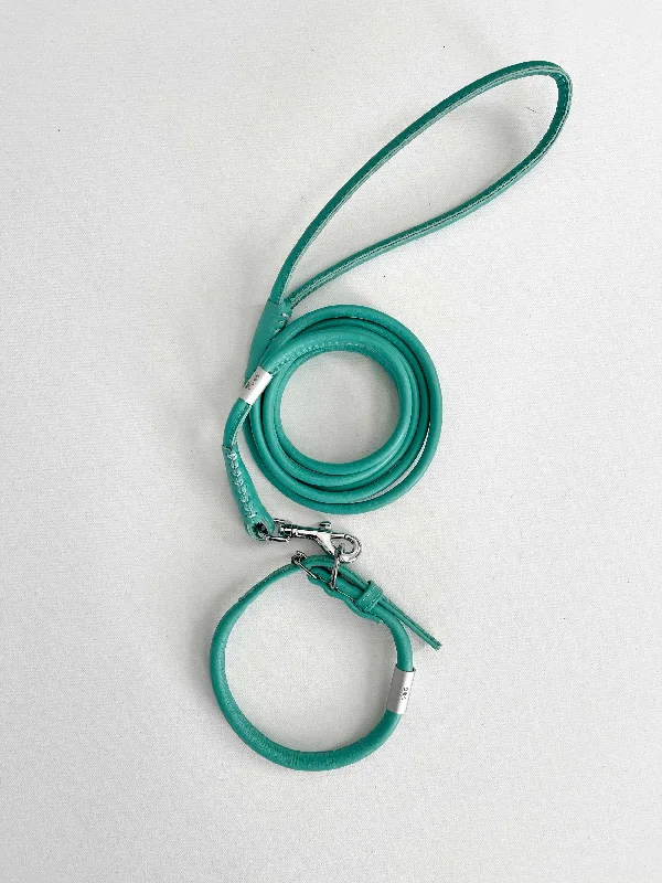 Mint Rolled Leather Dog Collar and Leash Set