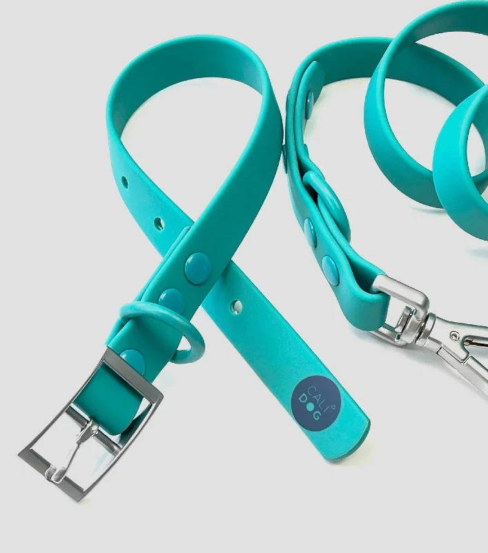 Teal Waterproof Dog Collar and Leash Set