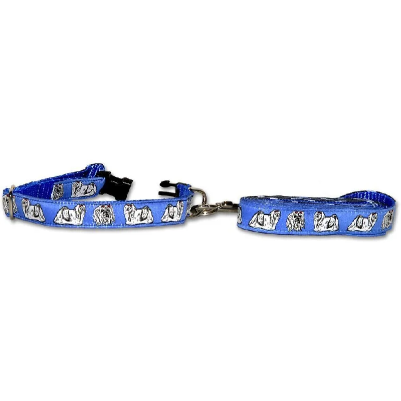 Blue Collar and Leash Set