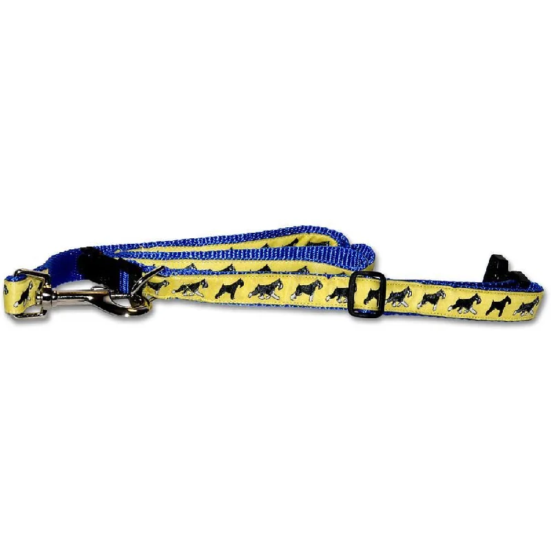 Yellow Collar and Lead Set