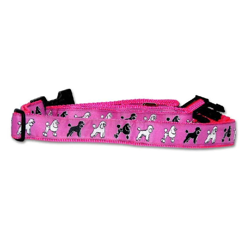 Standard Poodle Pink Collar and Leash Set-1 inch Wide- Fits 13”- 21”