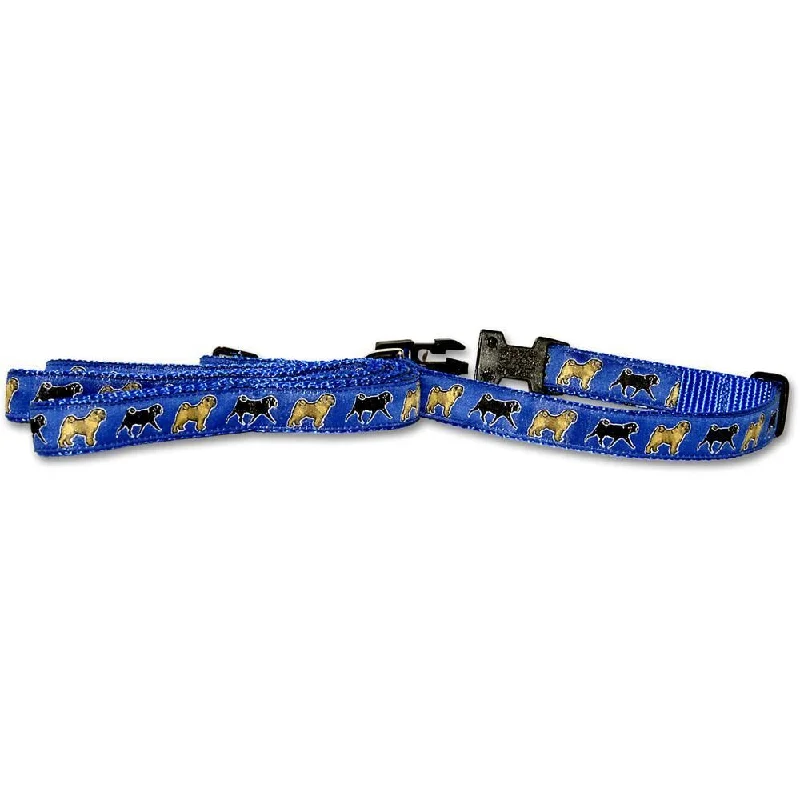 Blue Collar and Leash Set