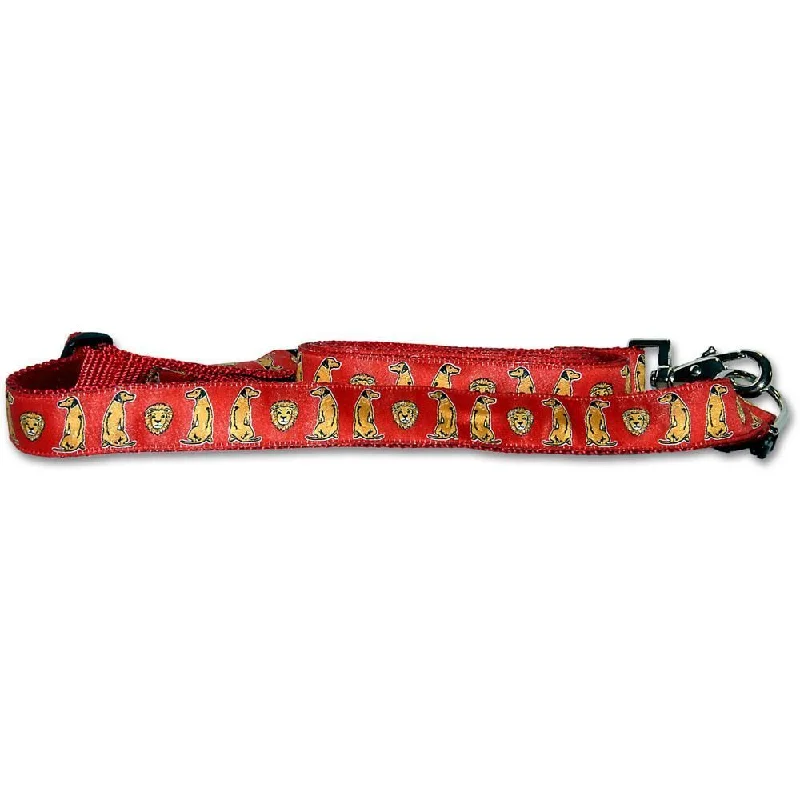 Red Collar and Leash Set