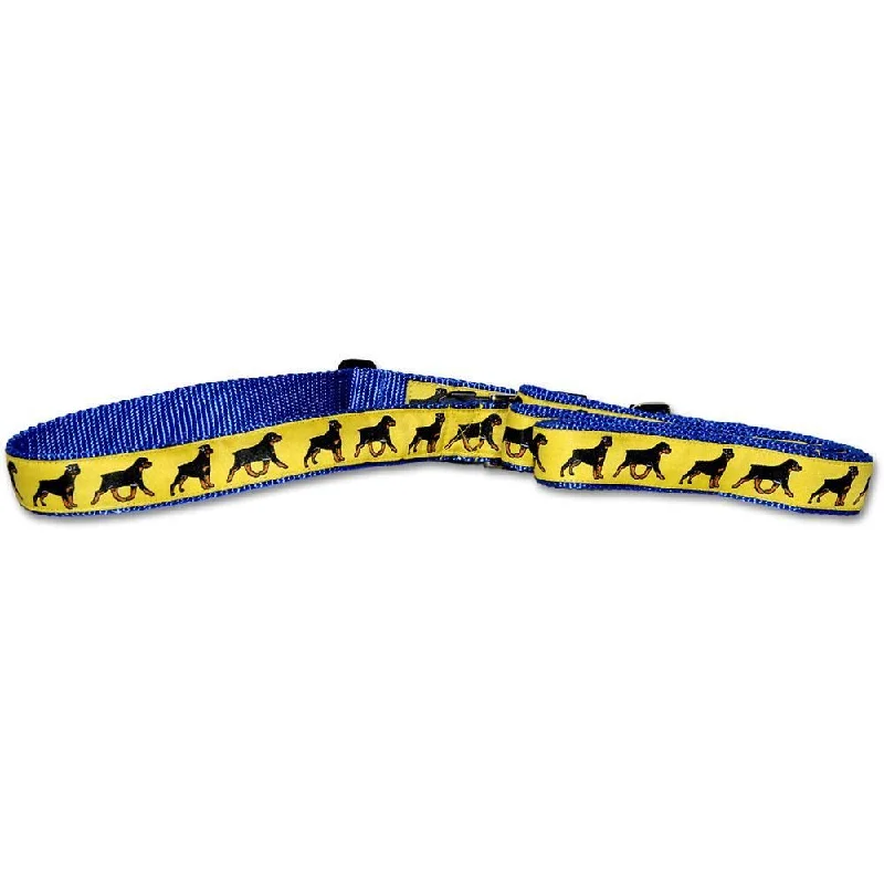 Yellow Collar and Lead Set