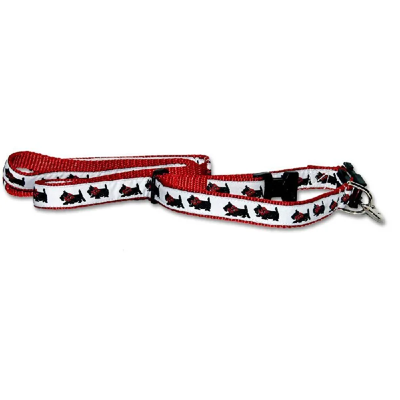 Red Collar and Lead Set