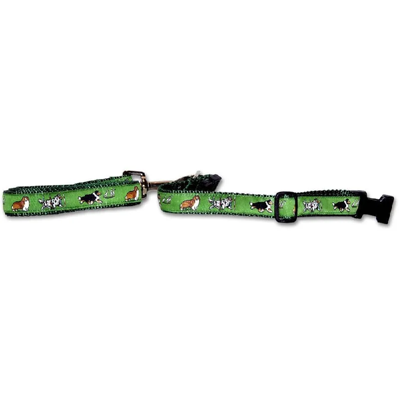 Shetland Sheepdog Collar and Leash Set