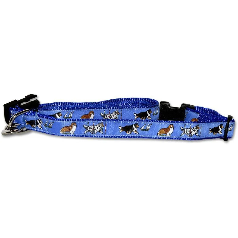 Blue Collar and Leash Set