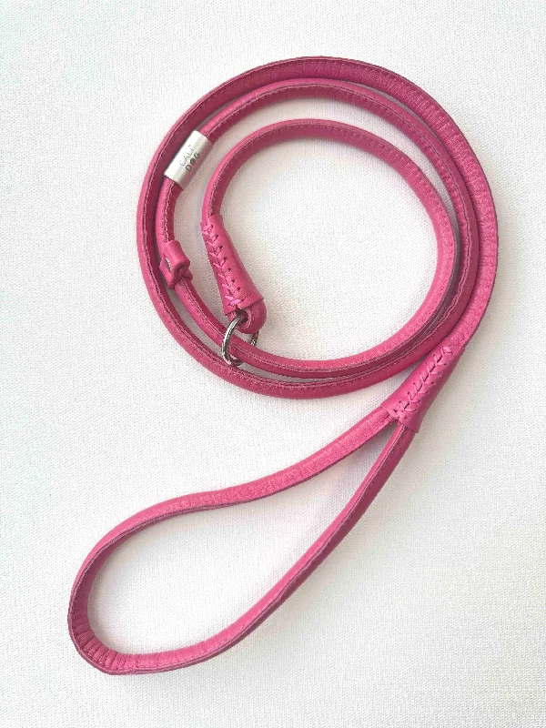 Pink Dog Slip-Leash