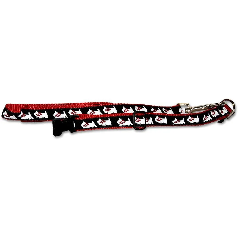 Red Collar and Leash Set