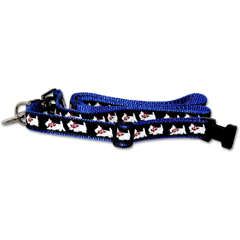 Blue Collar and Leash Set