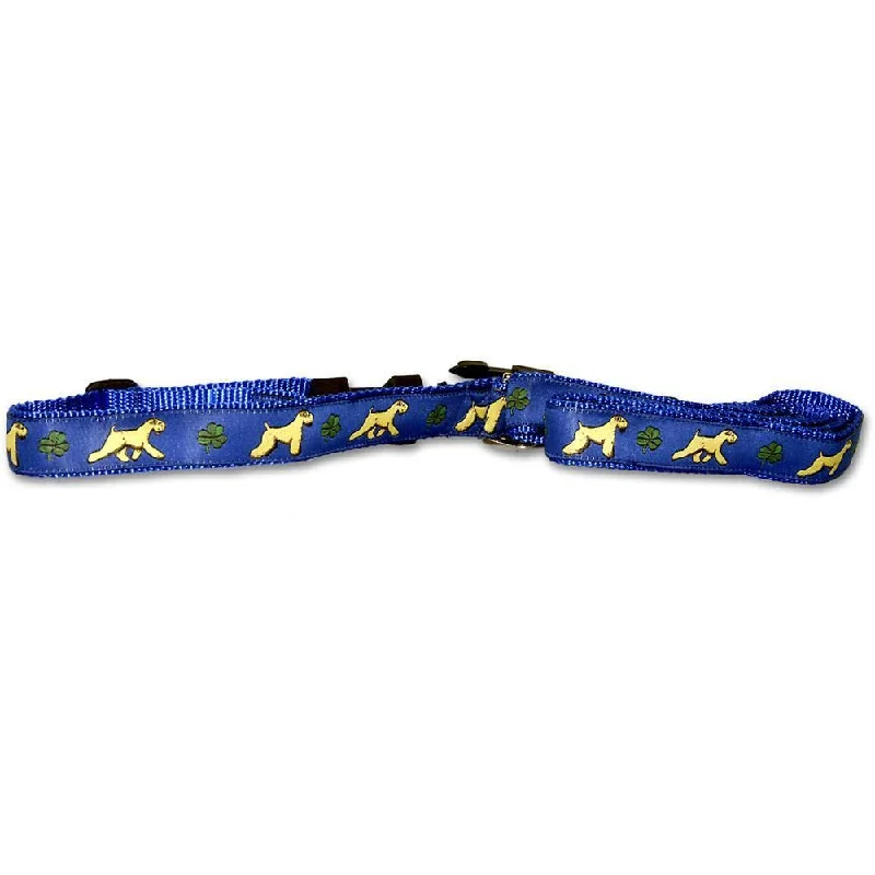 Blue Collar and Leash Set