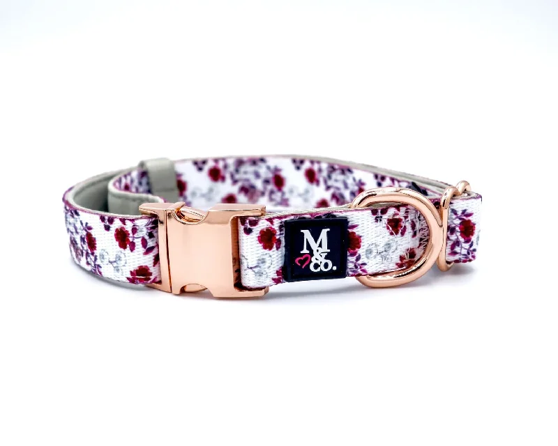 "Enchanted Garden" Collar