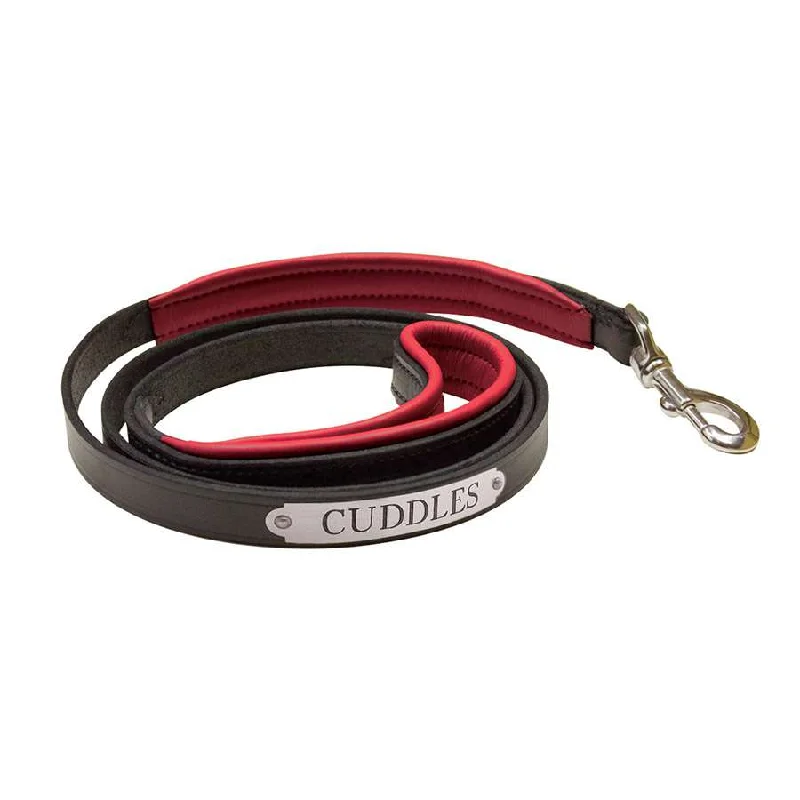 Engraved Perri’s Padded Leather Dog Leash - 21 Color options- USA Made