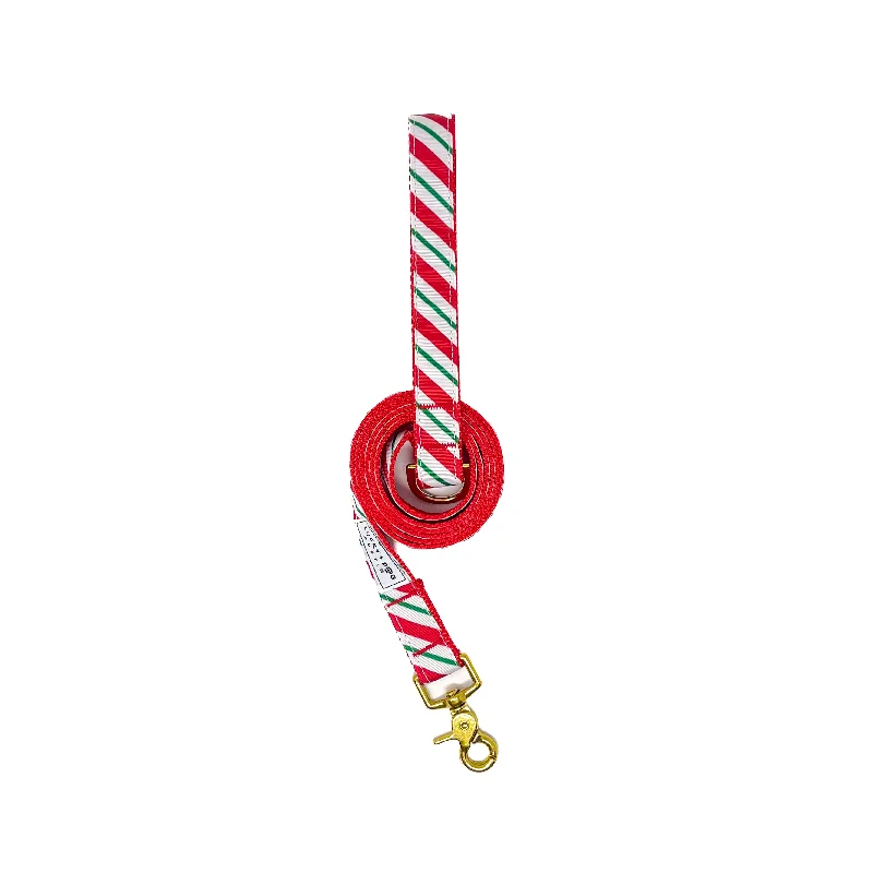 Everyday 6 ft. Leash - Candy Cane Stripe