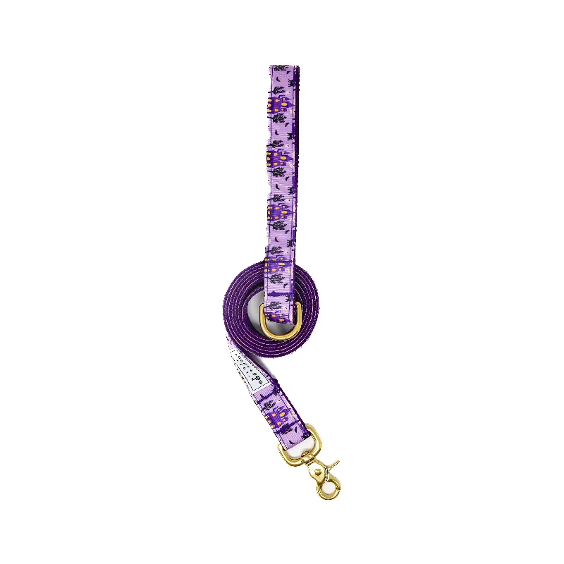 Everyday 6 ft Leash - Furry Fright