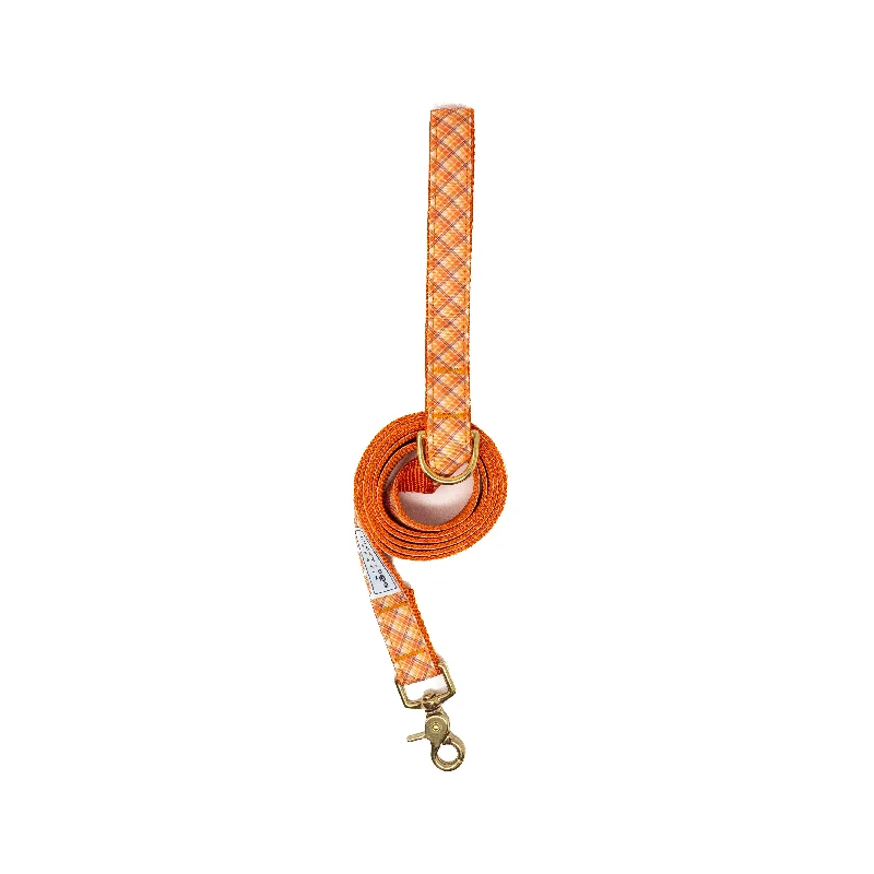 Everyday 6 ft Leash - Golden Harvest