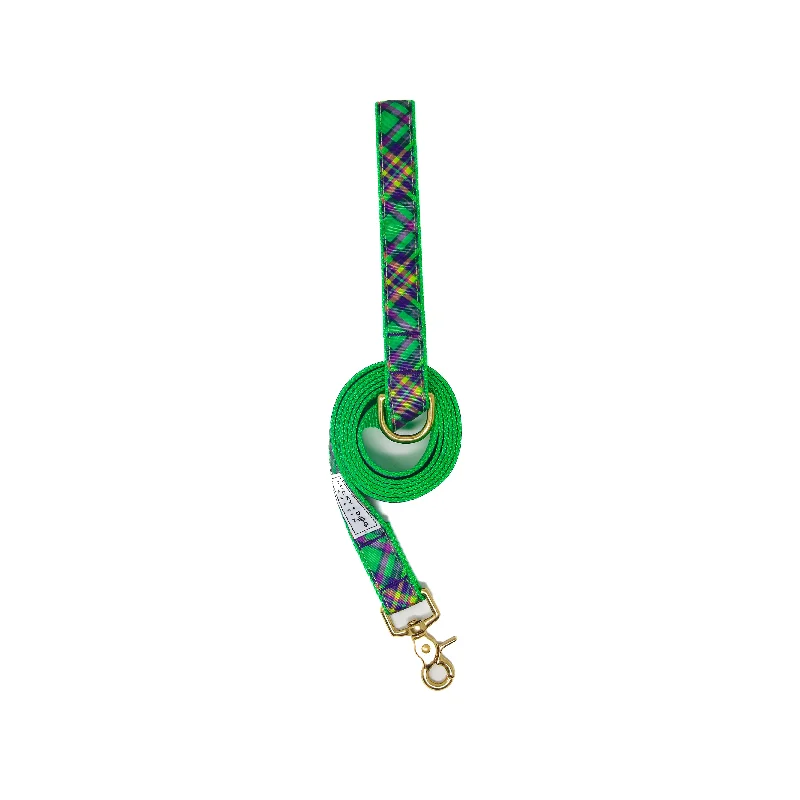 Everyday 6 ft Leash - Lucky Limelight