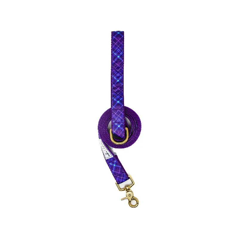 Everyday 6 ft Leash - Purplaid Posh