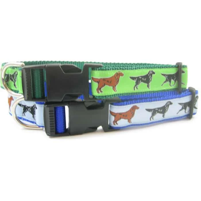 Flat Coat Retriever Breed Dog Collar or Leash