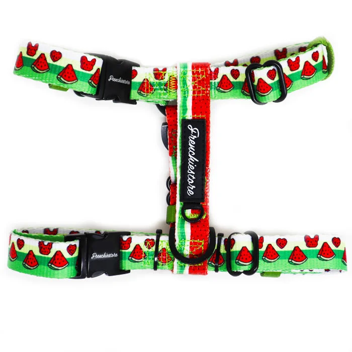 Frenchiestore Adjustable Pet Health Strap Harness | Watermelon