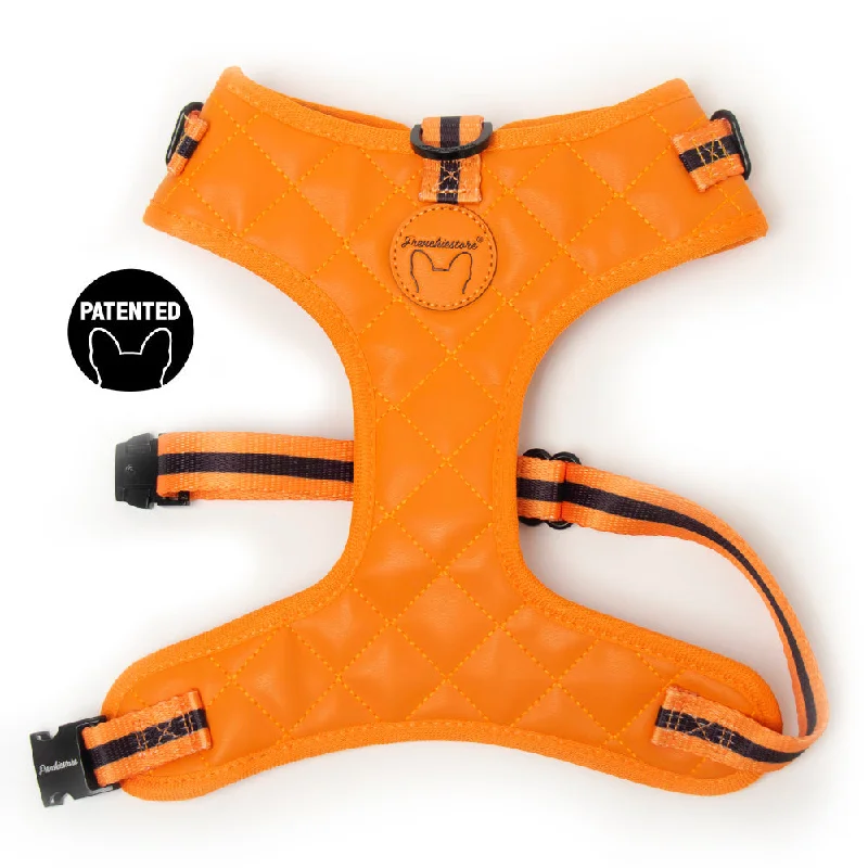 Frenchiestore Neck Adjustable Vegan Leather Health Harness | Orange Pumpkin Varsity