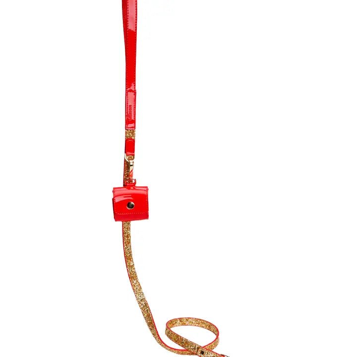 Gold Glam Dog Leash