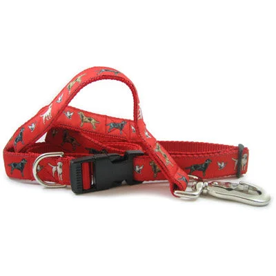 Labrador Retriever Dog Breed Collar or Leash