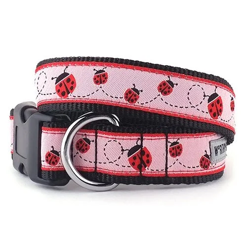 Ladybug Collar and Lead Collection