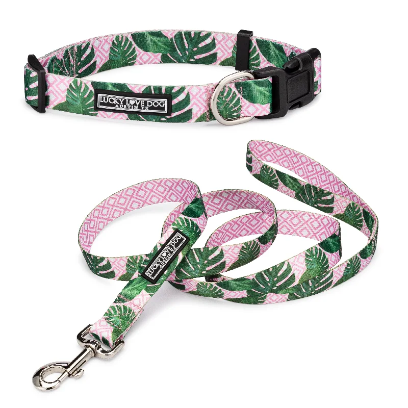 Laguna Pink Dog Collar