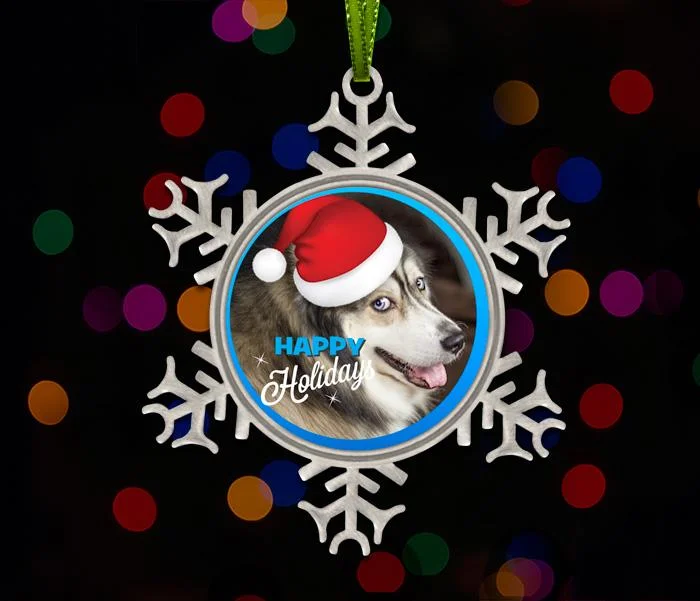 Metal Snowflake Pet Photo Ornament