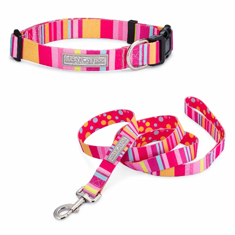 Molly Dog Collar Wholesale