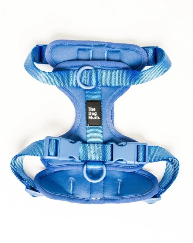 Multi-Function Adjustable Harness: Ibiza Blue