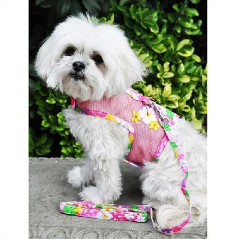 NEW-Doggie Design Pink Hawaiian Floral Cool Mesh Harness w/ Leash & D-Ring