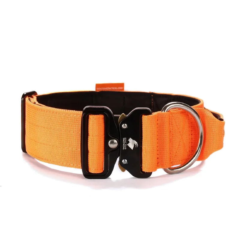 GTTBrute™ Collar | Heavy Duty Orange Dog Collar, Hunter Orange Dog Collar