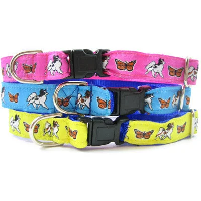 Papillon Dog Collar or Leash