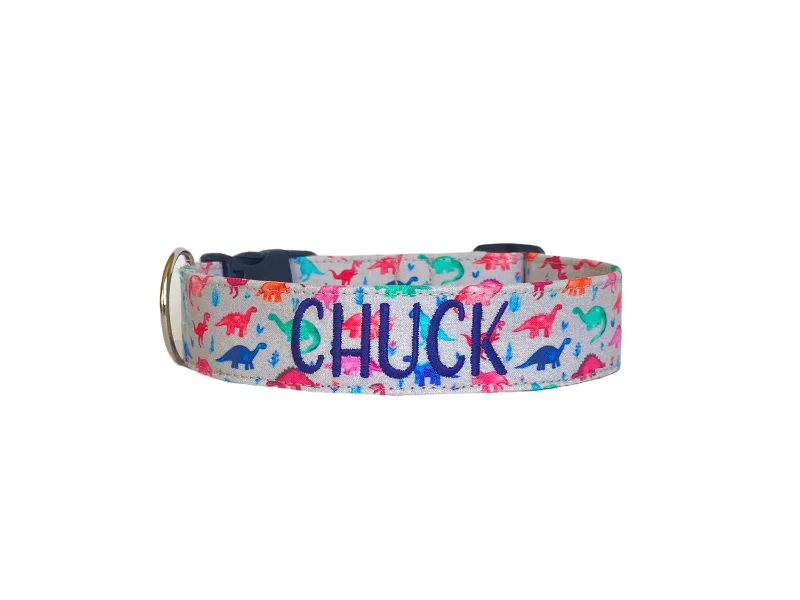 Personalized Dog Collar | Rainbow Dinosaur Dog Collar | Duke & Fox