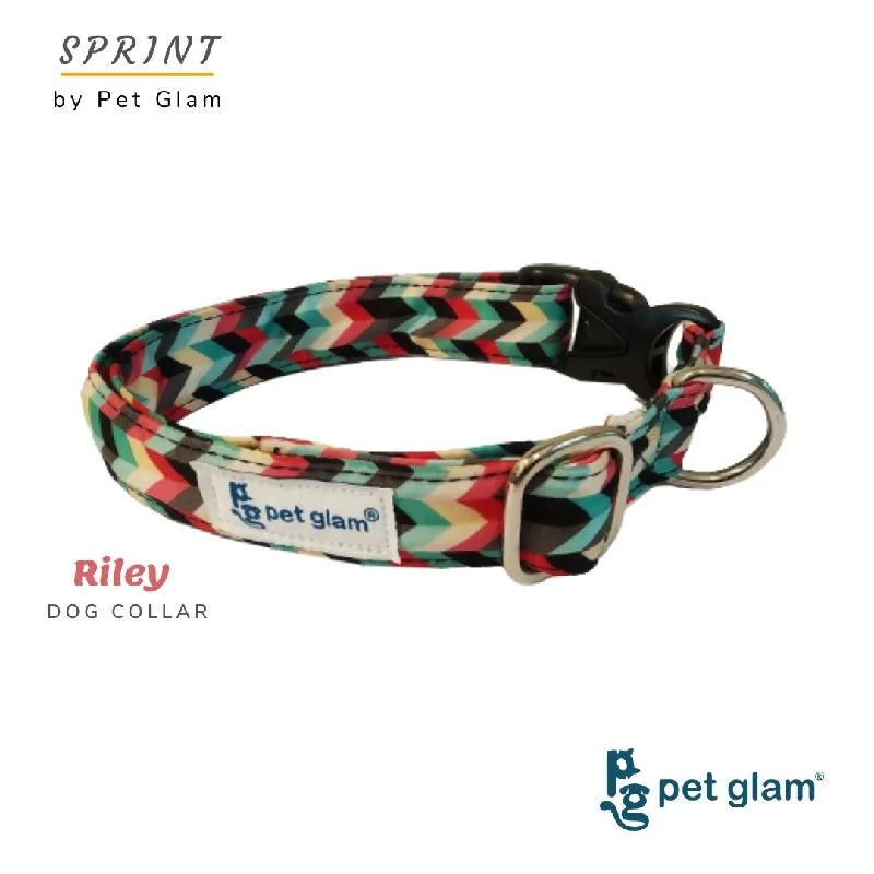 Pet Glam-Riley-Dog Collar for Beagles Shish tzu Labrador-Soft Collars for puppies and large dogs