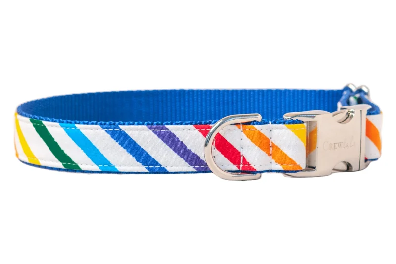 Proud Rainbow Dog Collar - Two Styles!