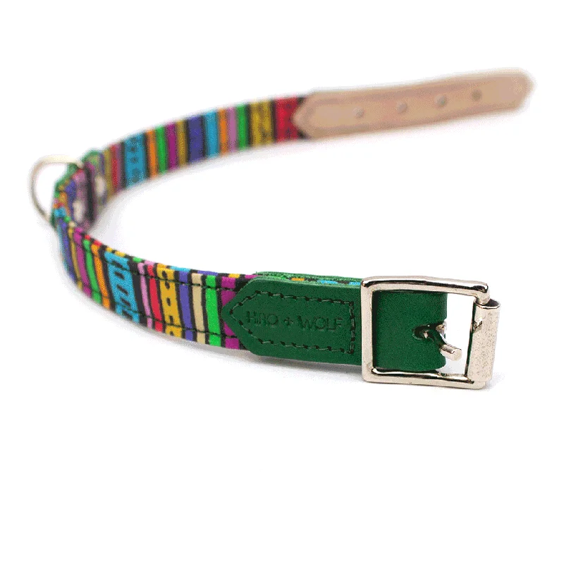 Rainbow Stripe Dog Collar