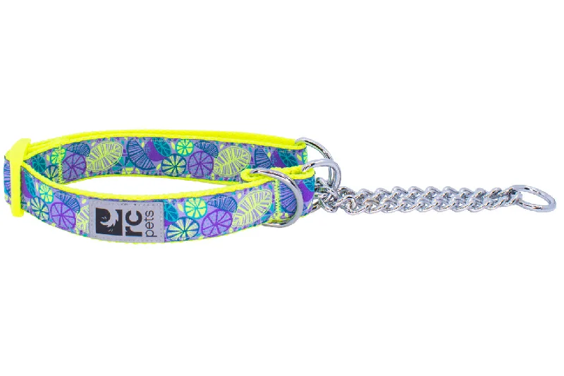 RC Pets Training Collar