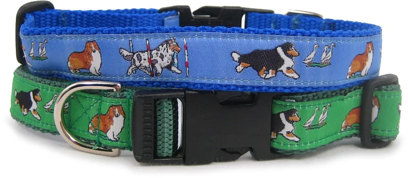 Sheltie Dog Collar or Leash