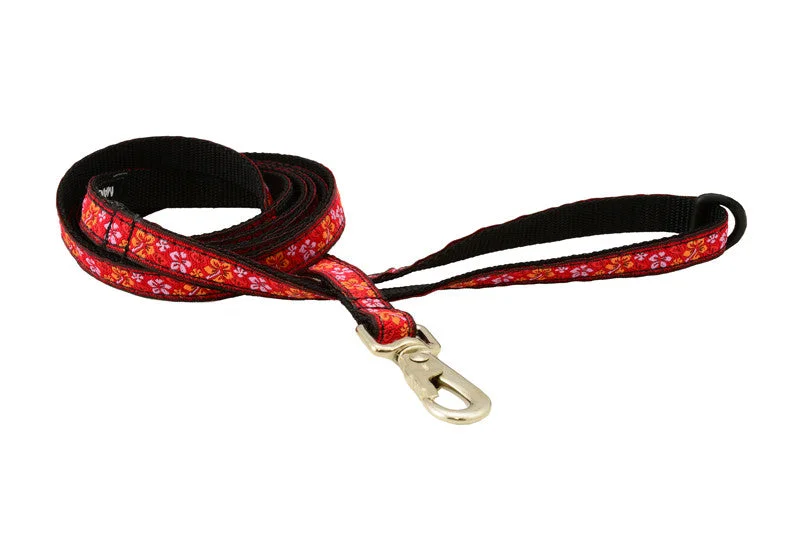 Leash - 5ft  Long - 1/2" Wide