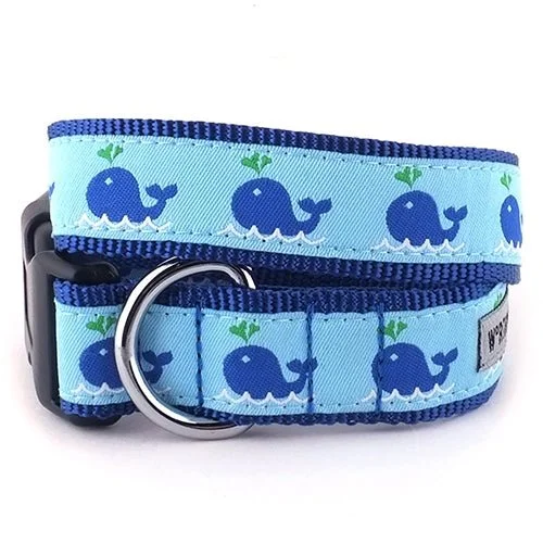 Squirt Collar and Lead Collection