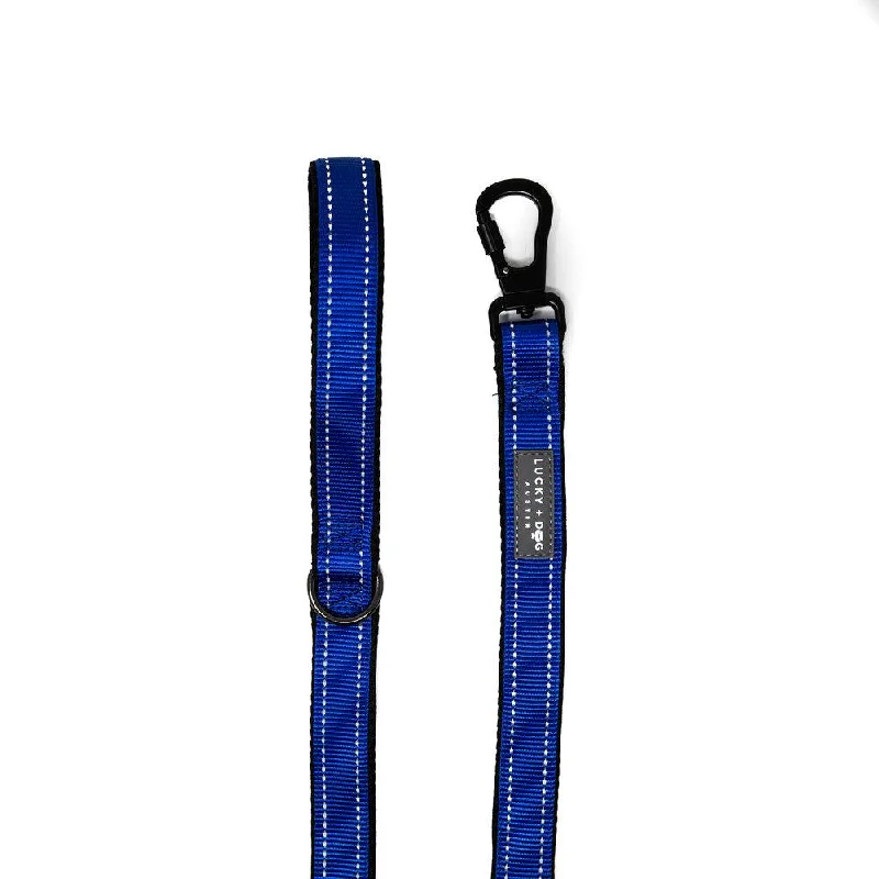 Harness Leash - Blue