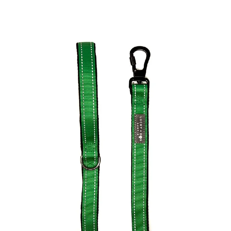 Harness Leash - Green