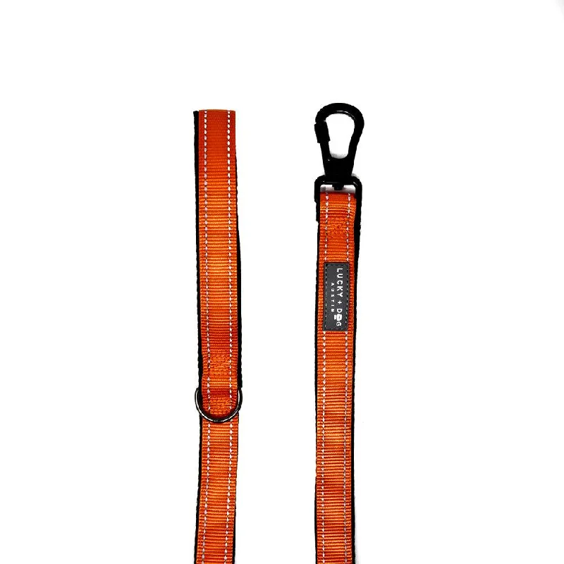 Harness Leash - Orange